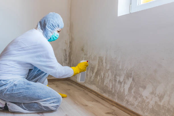 Bathroom Mold Removal assessment in Elizabeth bathroom