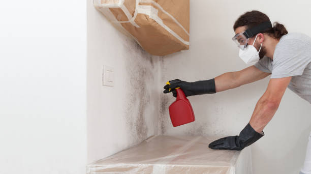 Attic Mold Remediation treatment on roof deck in Elizabeth